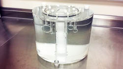 clear cylindrical fillable plexiglass form with inset fillable spheres