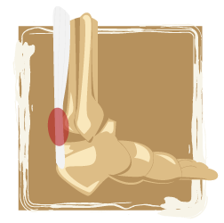 medical illustration of joint