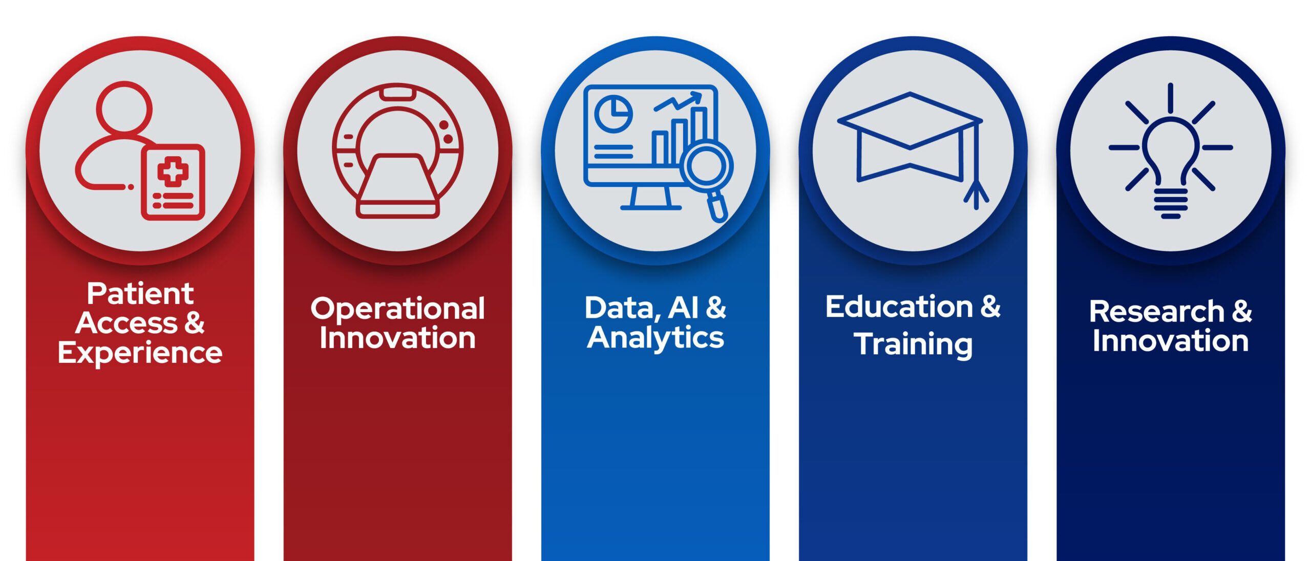 A graphic that lists the five different pillars of the CHVI initiative.